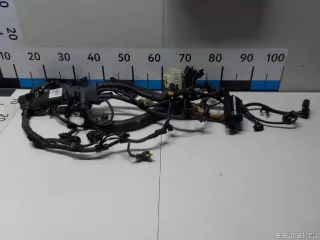 12518595284 BMW Жгут проводов (Проводка) BMW X4 G02 Арт E51351329, вид 1