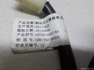 4013210AKZ16A Great Wall Проводка (коса) Haval H6 Арт E52129388, вид 8