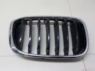 51137440854 BMW Решетка радиатора правая BMW X3 G01 Арт E52184892, вид 1