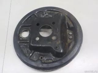 440207408R Renault Кожух защитный тормозного диска Renault Dokker Арт E52295689, вид 7
