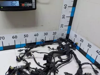 12518588679 BMW Жгут проводов (Проводка) BMW X4 G02 Арт E52190152, вид 2