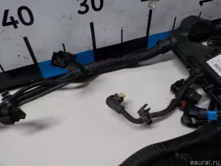 12518588679 BMW Жгут проводов (Проводка) BMW X4 G02 Арт E52190152, вид 6