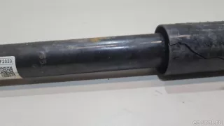 55307F2020 Hyundai-Kia Амортизатор задний Hyundai Elantra AD Арт E23434109, вид 4