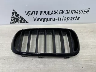 7309775 Решетка радиатора BMW X5 F15 Арт TP92631, вид 1
