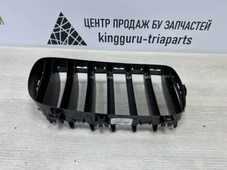 7316075 Решетка радиатора BMW X5 F15 Арт TP92641, вид 7