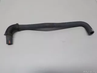 2382025160 Toyota Патрубок (трубопровод, шланг) Toyota Rav 4 5 Арт E52234890