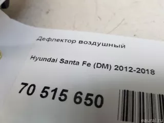 974054Z000PP2 Hyundai-Kia Дефлектор воздушный Hyundai Santa FE 4 (TM) restailing Арт E70515650, вид 7