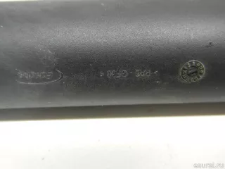 5NA827851A905 VAG Амортизатор двери багажника Volkswagen Tiguan 2 Арт E70532898, вид 8