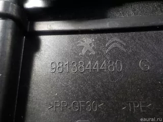 98138444XK Citroen-Peugeot Накладка двери багажника Peugeot 3008 2 Арт E51637962, вид 9
