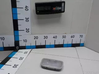 92850L1000MMH Hyundai-Kia Плафон салонный Hyundai Sonata (DN8) Арт E52255496