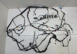 106795400E Tesla Проводка (коса) Tesla model 3 Арт E95533427, вид 1