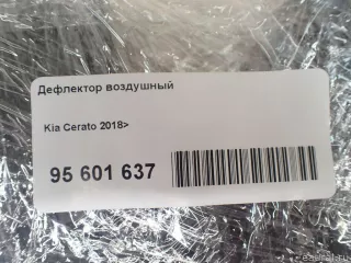 97401M7000WK Hyundai-Kia Дефлектор воздушный Kia Cerato 4 Арт E95601637, вид 10