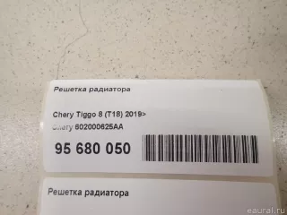 602000625AA Chery Решетка радиатора Chery Tiggo  2 Арт E95680050, вид 17