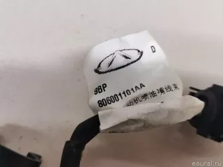 806001101AA Chery Проводка (коса) Chery Tiggo  2 Арт E23509155, вид 3