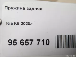 55340L0900 Hyundai-Kia Пружина задняя Kia K5 3 Арт E95657710, вид 7