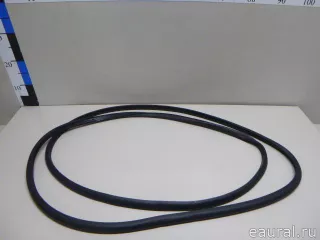 82130P2000 Hyundai-Kia Уплотнитель двери Kia Sorento 4 Арт E23239390, вид 1