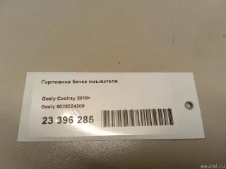 6025024300 Geely Горловина бачка омывателя Geely Coolray Арт E23396285, вид 5