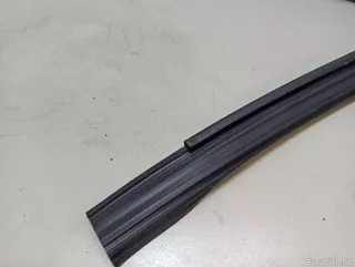 82541P2001 Hyundai-Kia Уплотнитель стекла двери Kia Sorento 4 Арт E23529619, вид 2