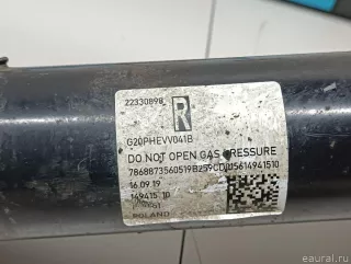 31316887356 BMW Амортизатор передний правый BMW 3 G20/G21 Арт E103030264, вид 9