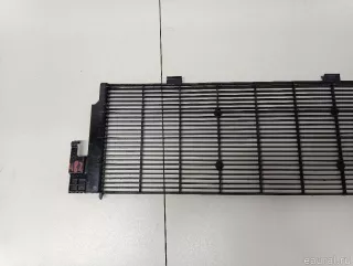 17118482591 BMW Защита радиатора BMW 3 G20/G21 Арт E103030482, вид 3