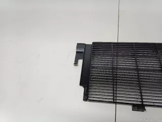 17118482591 BMW Защита радиатора BMW 3 G20/G21 Арт E103030482, вид 5