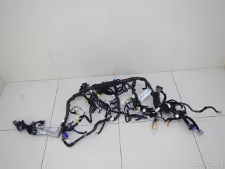 91120D2831 Hyundai-Kia Проводка (коса) Genesis G90 2 Арт E70464653, вид 1