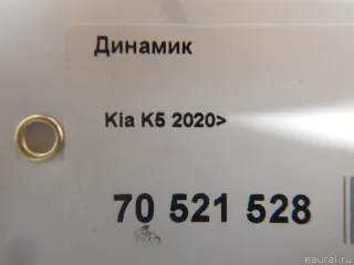 96330L2100 Hyundai-Kia Динамик Kia K5 3 Арт E70521528, вид 5