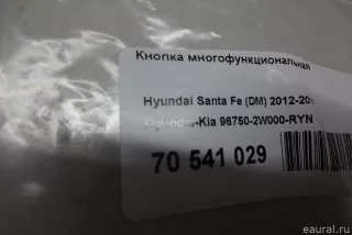 967502W000RYN Hyundai-Kia Кнопка многофункциональная Hyundai Santa FE 4 (TM) restailing Арт E70541029, вид 5