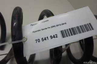 553502W380 Hyundai-Kia Пружина задняя Hyundai Santa FE 4 (TM) restailing Арт E70541942, вид 6