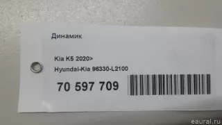 96330L2100 Hyundai-Kia Динамик Kia K5 3 Арт E70597709, вид 10