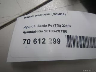 251002GTB0 Hyundai-Kia Насос антифриза (помпа) Hyundai Santa FE 4 (TM) restailing Арт E70612299, вид 5