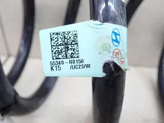 55340R0150 Hyundai-Kia Пружина задняя Kia Carnival 4 Арт E95657439, вид 4