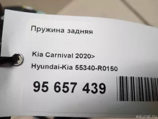 55340R0150 Hyundai-Kia Пружина задняя Kia Carnival 4 Арт E95657439, вид 9