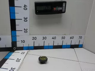 4118056 Ford Крышка масляного стакана Mazda CX-9 1 Арт E52405988
