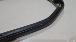 83865R0000 Hyundai-Kia Уплотнитель двери Kia Carnival 4 Арт E23395018, вид 4
