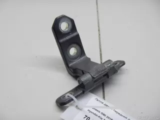 79310D2000 Hyundai-Kia Петля двери передней левой верхняя Genesis G90 2 Арт E70659250, вид 1
