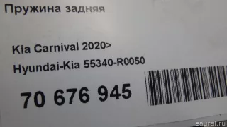 55340R0050 Hyundai-Kia Пружина задняя Kia Carnival 4 Арт E70676945, вид 8