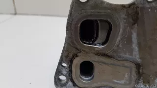 11428583901 BMW Радиатор масляный BMW X5 G05  Арт E70680580, вид 8