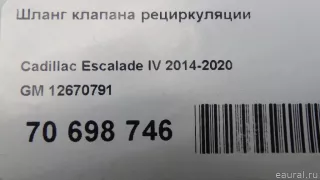 12670791 GM Шланг клапана рециркуляции Cadillac Escalade 4 Арт E70698746, вид 5