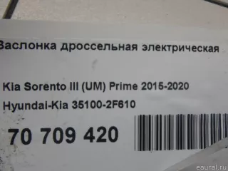 351002F610 Hyundai-Kia Заслонка дроссельная электрическая Kia Sorento 3 restailing Арт E70709420, вид 11