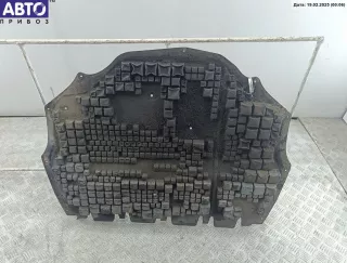  Защита под ДВС Skoda Roomster 1 Арт 54576007, вид 2