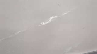 9004W4 Дверь передняя правая серебристая Citroen C4 1 restailing Арт 9244449, вид 3