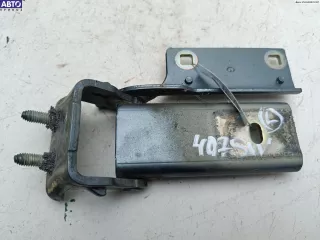 ARG Петля крышки (двери) багажника Peugeot 407 Арт 54832820, вид 1