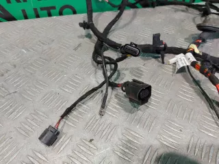 806005040AA Проводка двери багажника Chery Tiggo 7 PRO Арт 315241RM, вид 6