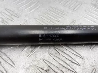 811614Z000 Амортизатор капота Hyundai Santa FE 3 (DM) Арт 00255881, вид 3