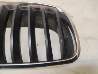51317157688 Решетка радиатора BMW X5 E53 Арт VZ208084, вид 5