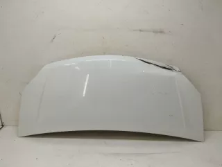A21R238402012 капот ГАЗ Газель next Арт VZ221521, вид 1