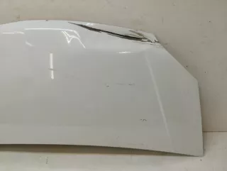 A21R238402012 капот ГАЗ Газель next Арт VZ221521, вид 2