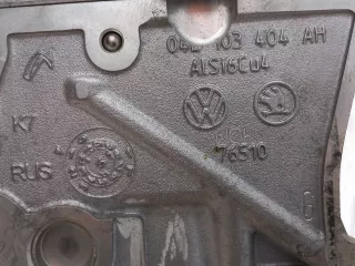 04E100038D двигатель (ДВС) Volkswagen Polo 6 Арт ARM259997, вид 19
