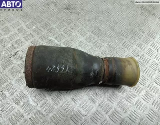 37121095081 Пневмоподушка подвески задняя BMW 5 E39 Арт 53902730, вид 1